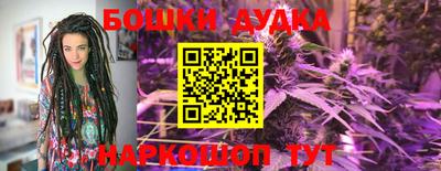 прущие грибы Мариинск